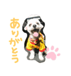 ぎんたん1（個別スタンプ：3）