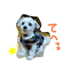 ぎんたん1（個別スタンプ：6）