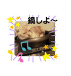 ねこのサスケさん4（個別スタンプ：4）