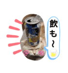 ねこのサスケさん4（個別スタンプ：10）