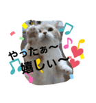 ねこのサスケさん4（個別スタンプ：24）