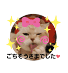 ねこのサスケさん4（個別スタンプ：28）