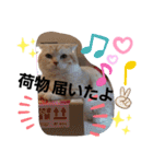 ねこのサスケさん4（個別スタンプ：29）