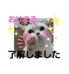 ねこのサスケさん4（個別スタンプ：32）