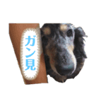 ちっぷ＆もも（個別スタンプ：2）