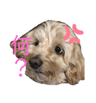 ちっぷ＆もも（個別スタンプ：6）