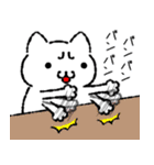 おこにゃんこ1（個別スタンプ：8）