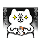おこにゃんこ1（個別スタンプ：20）