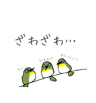 すごくメジロ（個別スタンプ：12）