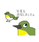 すごくメジロ（個別スタンプ：23）
