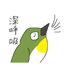 すごくメジロ（個別スタンプ：35）
