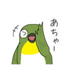 すごくメジロ（個別スタンプ：36）