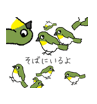 すごくメジロ（個別スタンプ：37）