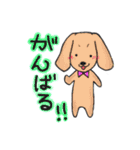 シーズー犬 コロン君 〜1〜（個別スタンプ：11）