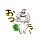 シーズー犬 コロン君 〜1〜（個別スタンプ：19）