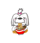 シーズー犬 コロン君 〜1〜（個別スタンプ：29）