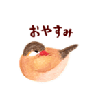 シナモン文鳥のスタンプ（個別スタンプ：5）