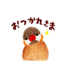 シナモン文鳥のスタンプ（個別スタンプ：39）