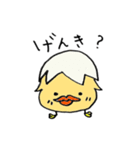 白めのぴよこ♪日常一言編♪（個別スタンプ：4）
