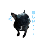 プランandラヴ（個別スタンプ：2）