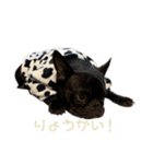 プランandラヴ（個別スタンプ：3）