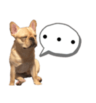 プランandラヴ（個別スタンプ：11）