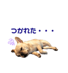 プランandラヴ（個別スタンプ：13）