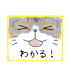 顔面ねこスタンプ（個別スタンプ：10）