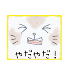 顔面ねこスタンプ（個別スタンプ：18）