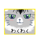 顔面ねこスタンプ（個別スタンプ：20）