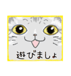 顔面ねこスタンプ（個別スタンプ：23）