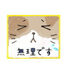 顔面ねこスタンプ（個別スタンプ：24）