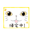 顔面ねこスタンプ（個別スタンプ：36）