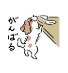 わんこスタンプ（キャバリア）（個別スタンプ：5）