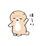 しゃべるねこ四兄弟（個別スタンプ：5）