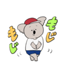 コアラストーリー（個別スタンプ：1）