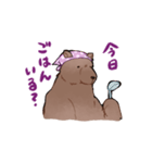 関西弁くまさん（家族連絡）（個別スタンプ：1）