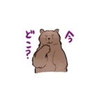 関西弁くまさん（家族連絡）（個別スタンプ：7）