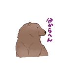 関西弁くまさん（家族連絡）（個別スタンプ：9）