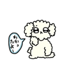 白くてフワフワの犬（個別スタンプ：1）
