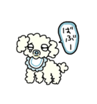 白くてフワフワの犬（個別スタンプ：26）
