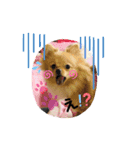 あんこB（個別スタンプ：2）