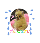 あんこB（個別スタンプ：3）