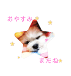 びびLINE（個別スタンプ：1）