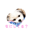 びびLINE（個別スタンプ：8）