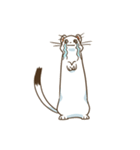 オコジョですたんぷ1（個別スタンプ：6）