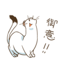 オコジョですたんぷ1（個別スタンプ：7）