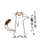オコジョですたんぷ1（個別スタンプ：9）