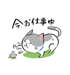 頑張る犬と頑張らない猫（個別スタンプ：3）
