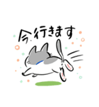 頑張る犬と頑張らない猫（個別スタンプ：6）